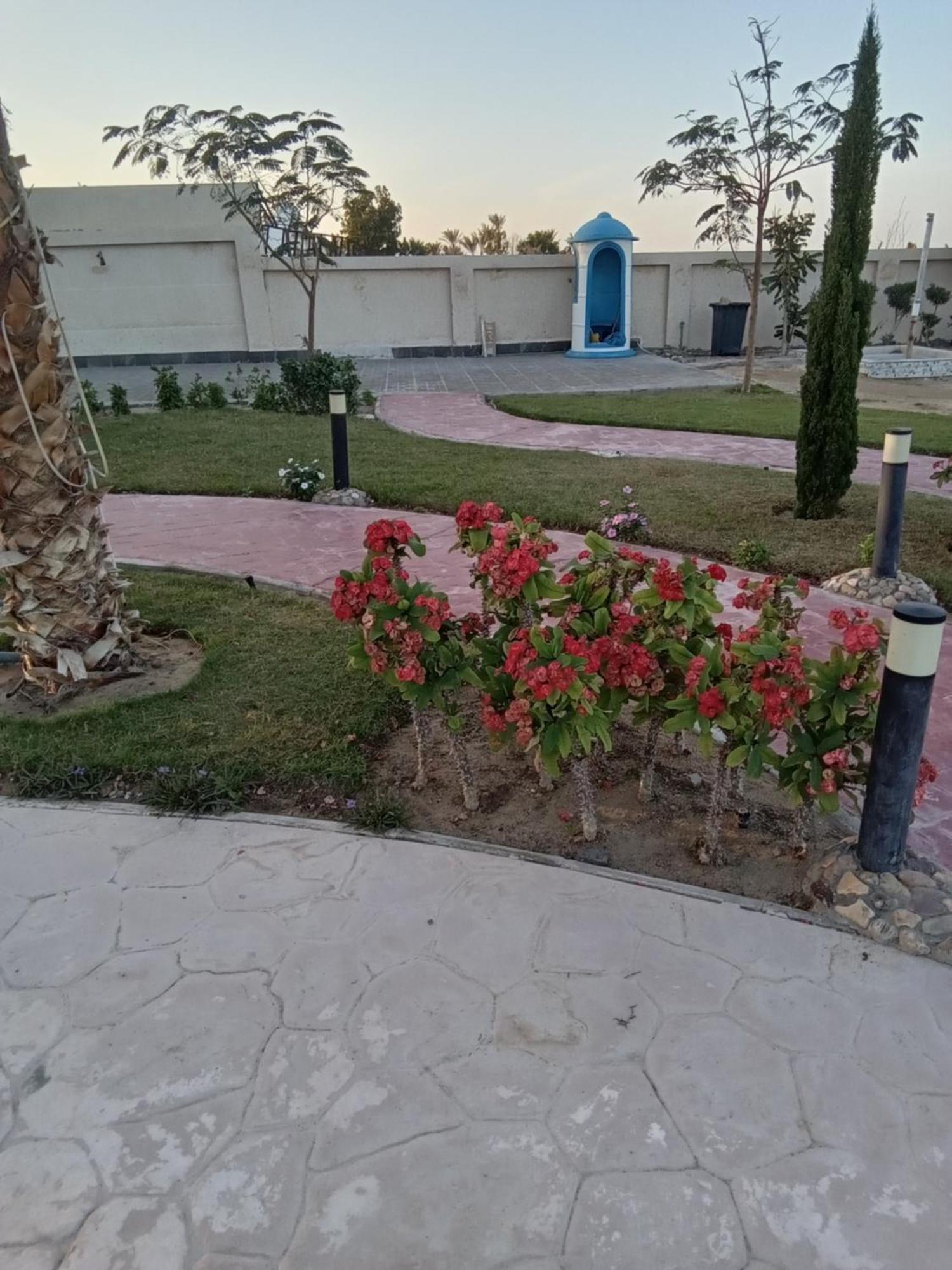 洪加達Casablanca Beach For Families And Couples Only公寓式酒店 外观 照片